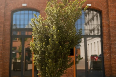 Top 5 Sign Installation Mistakes to Avoid