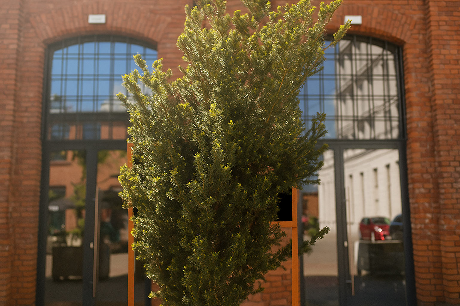 Top 5 Sign Installation Mistakes to Avoid