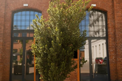 Top 5 Sign Installation Mistakes to Avoid