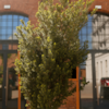 Top 5 Sign Installation Mistakes to Avoid