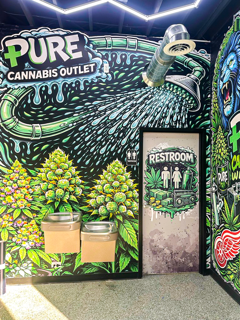 Wall Mural Adhesive Vinyl Environmental Graphic